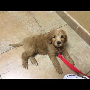 Meet your Posher, Mital